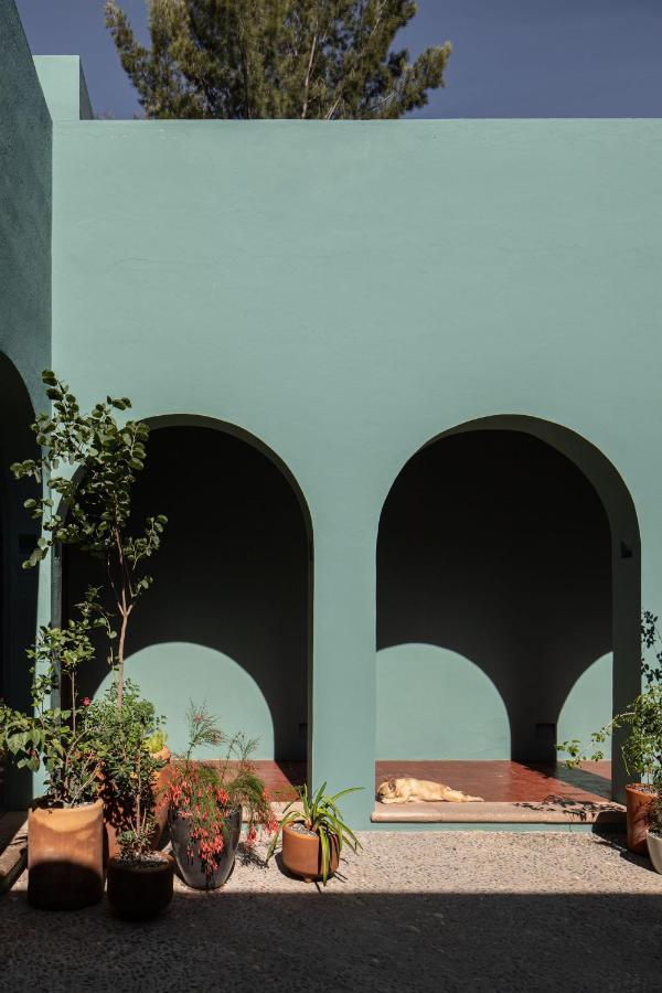Holt Balcones Guesthouse - King Bed Room San Miguel de Allende Exteriör bild